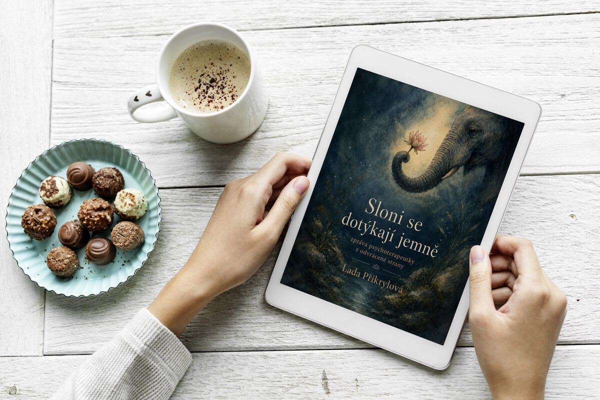 obalka-mockup-tablet-2.jpg